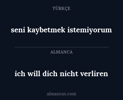 ich will dich nicht verliren - seni kaybetmek istemiyorum