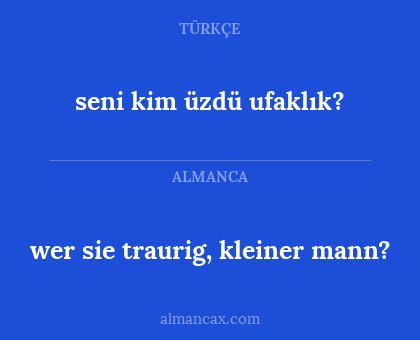 seni kim üzdü ufaklık? - wer sie traurig, kleiner mann?