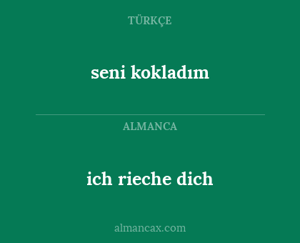 seni kokladım - ich rieche dich