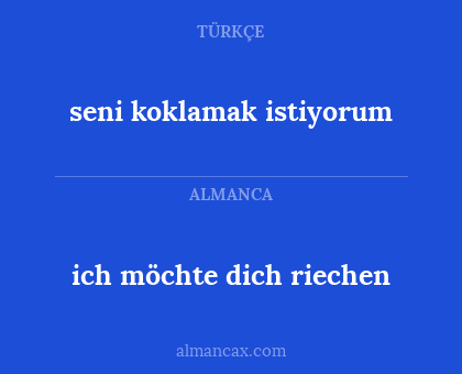 ich möchte dich riechen - seni koklamak istiyorum