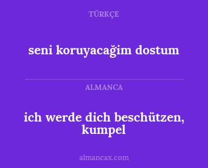 seni koruyacağim dostum - ich werde dich beschützen, kumpel