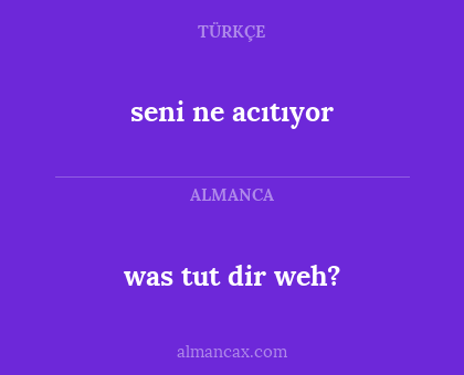 was tut dir weh? - seni ne acıtıyor