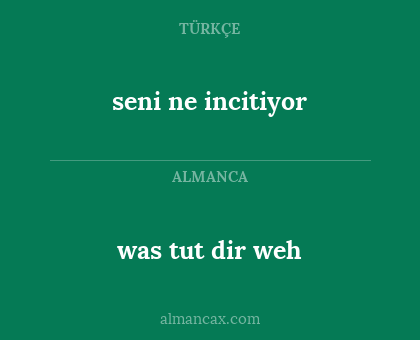 was tut dir weh - seni ne incitiyor