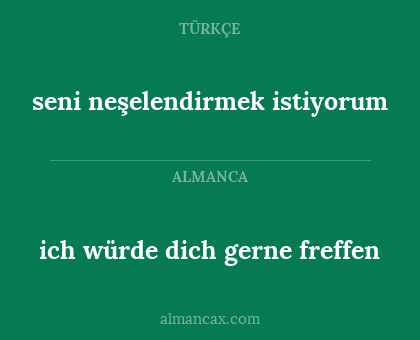 ich würde dich gerne freffen - seni neşelendirmek istiyorum