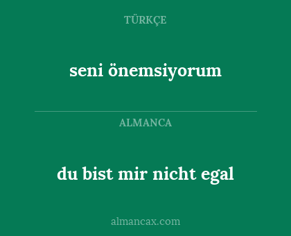 seni önemsiyorum - du bist mir nicht egal