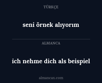seni örnek alıyorım - ich nehme dich als beispiel