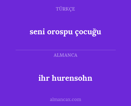 seni orospu çocuğu - ihr hurensohn