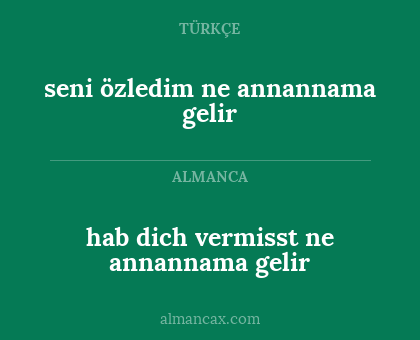 hab dich vermisst ne annannama gelir - seni özledim ne annannama gelir
