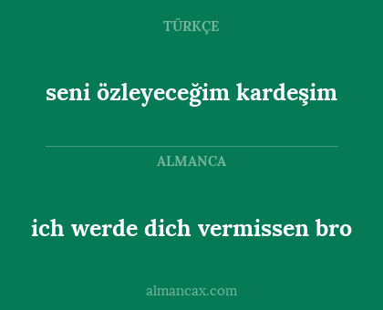 ich werde dich vermissen bro - seni özleyeceğim kardeşim