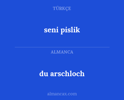 seni pislik - du arschloch