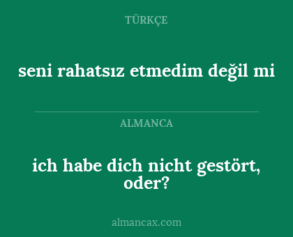 ich habe dich nicht gestört, oder? - seni rahatsız etmedim değil mi