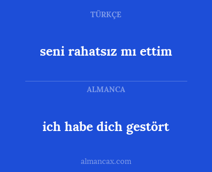 ich habe dich gestört - seni rahatsız mı ettim