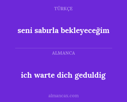 seni sabırla bekleyeceğim - ich warte dich geduldig