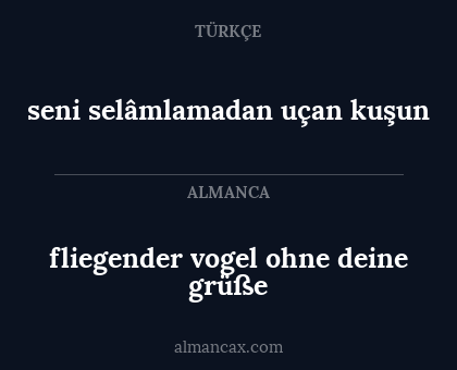 seni selâmlamadan uçan kuşun - fliegender vogel ohne deine grüße