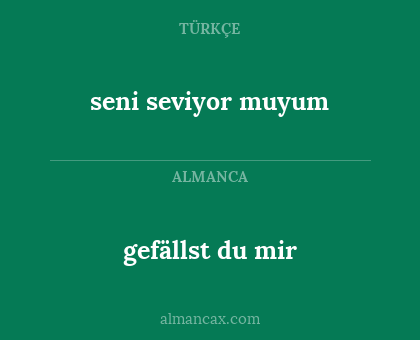 seni seviyor muyum - gefällst du mir