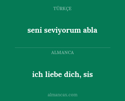 seni seviyorum abla - ich liebe dich, sis