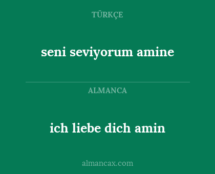 ich liebe dich amin - seni seviyorum amine