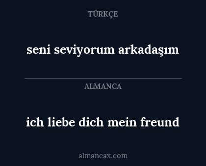 ich liebe dich mein freund - seni seviyorum arkadaşım