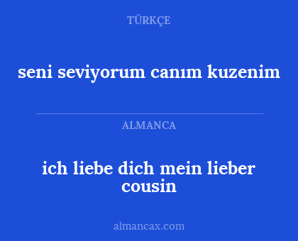 ich liebe dich mein lieber cousin - seni seviyorum canım kuzenim