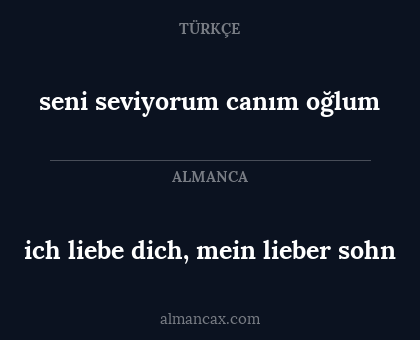 ich liebe dich, mein lieber sohn - seni seviyorum canım oğlum