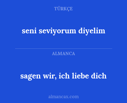 sagen wir, ich liebe dich - seni seviyorum diyelim