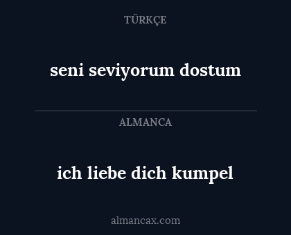 seni seviyorum dostum - ich liebe dich kumpel