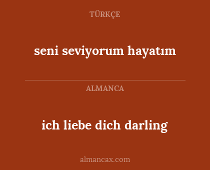 ich liebe dich darling - seni seviyorum hayatım