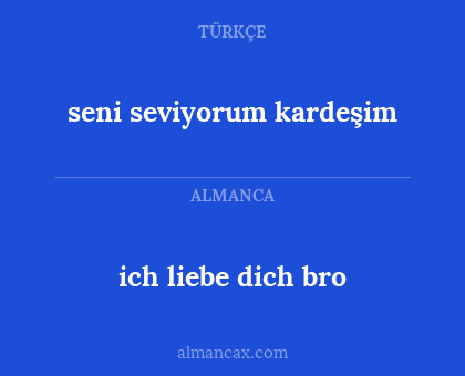 ich liebe dich bro - seni seviyorum kardeşim