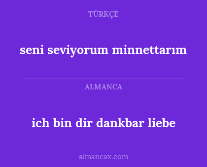 ich bin dir dankbar liebe - seni seviyorum minnettarım