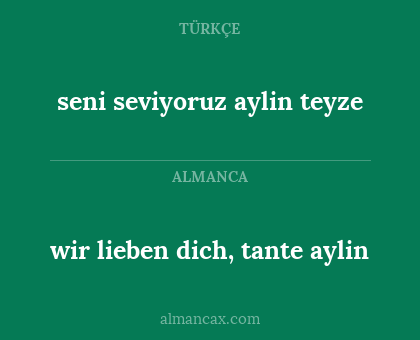 wir lieben dich, tante aylin - seni seviyoruz aylin teyze