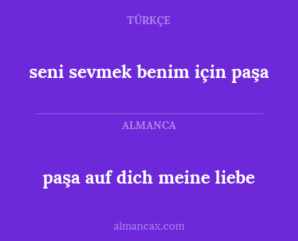 seni sevmek benim için paşa - paşa auf dich meine liebe