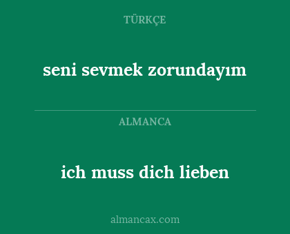 ich muss dich lieben - seni sevmek zorundayım