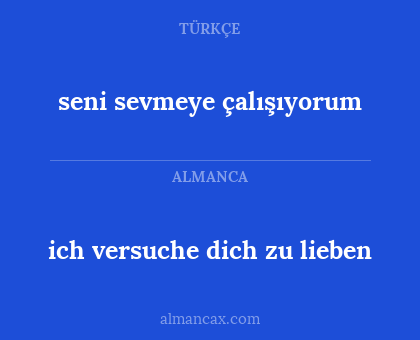 ich versuche dich zu lieben - seni sevmeye çalışıyorum