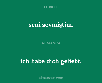 seni sevmiştim. - ich habe dich geliebt.