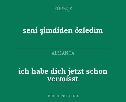 ich habe dich jetzt schon vermisst - seni şimdiden özledim