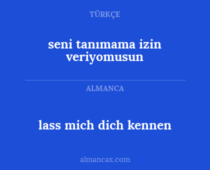 seni tanımama izin veriyomusun - lass mich dich kennen
