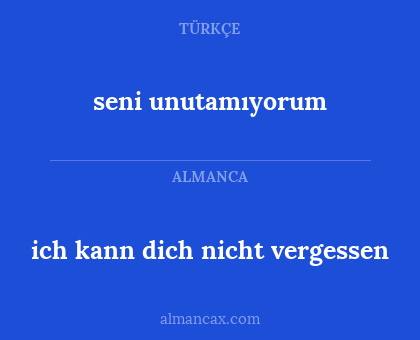 seni unutamıyorum - ich kann dich nicht vergessen