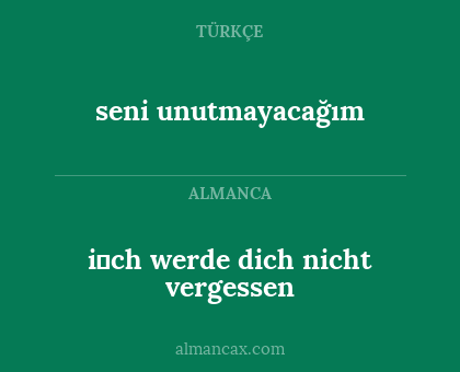 seni unutmayacağım - i̇ch werde dich nicht vergessen