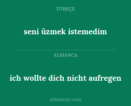 ich wollte dich nicht aufregen - seni üzmek istemedim