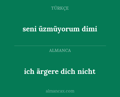 ich ärgere dich nicht - seni üzmüyorum dimi