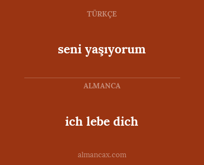 seni yaşıyorum - ich lebe dich