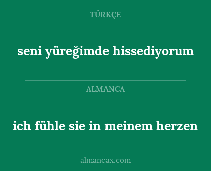 ich fühle sie in meinem herzen - seni yüreğimde hissediyorum