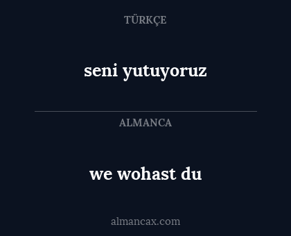 seni yutuyoruz - we wohast du