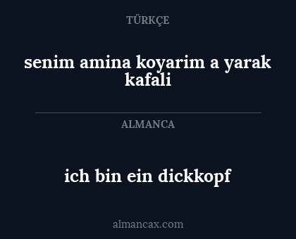 ich bin ein dickkopf - senim amina koyarim a yarak kafali