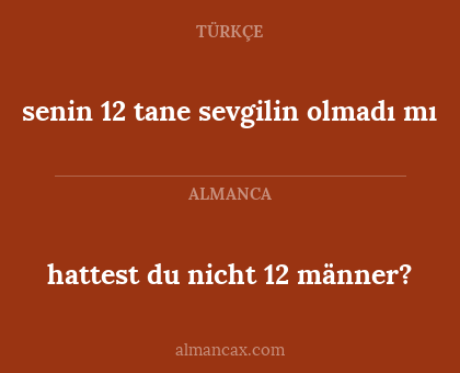 hattest du nicht 12 männer? - senin 12 tane sevgilin olmadı mı
