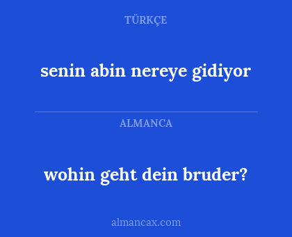 senin abin nereye gidiyor - wohin geht dein bruder?