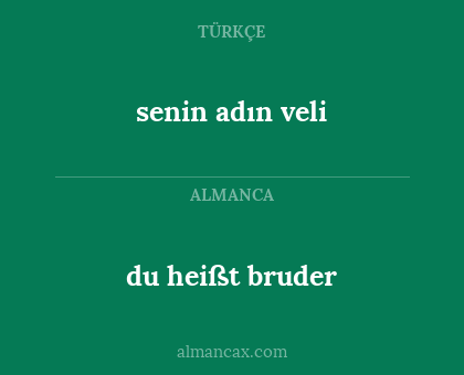 du heißt bruder - senin adın veli