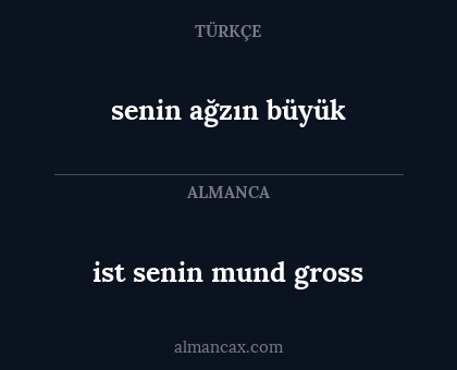 senin ağzın büyük - ist senin mund gross