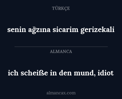 ich scheiße in den mund, idiot - senin ağzına sicarim gerizekali