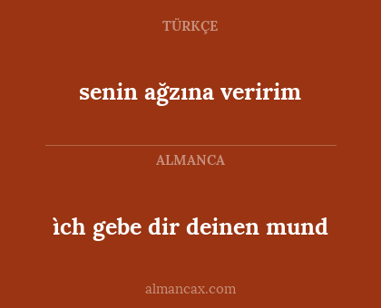 ìch gebe dir deinen mund - senin ağzına veririm